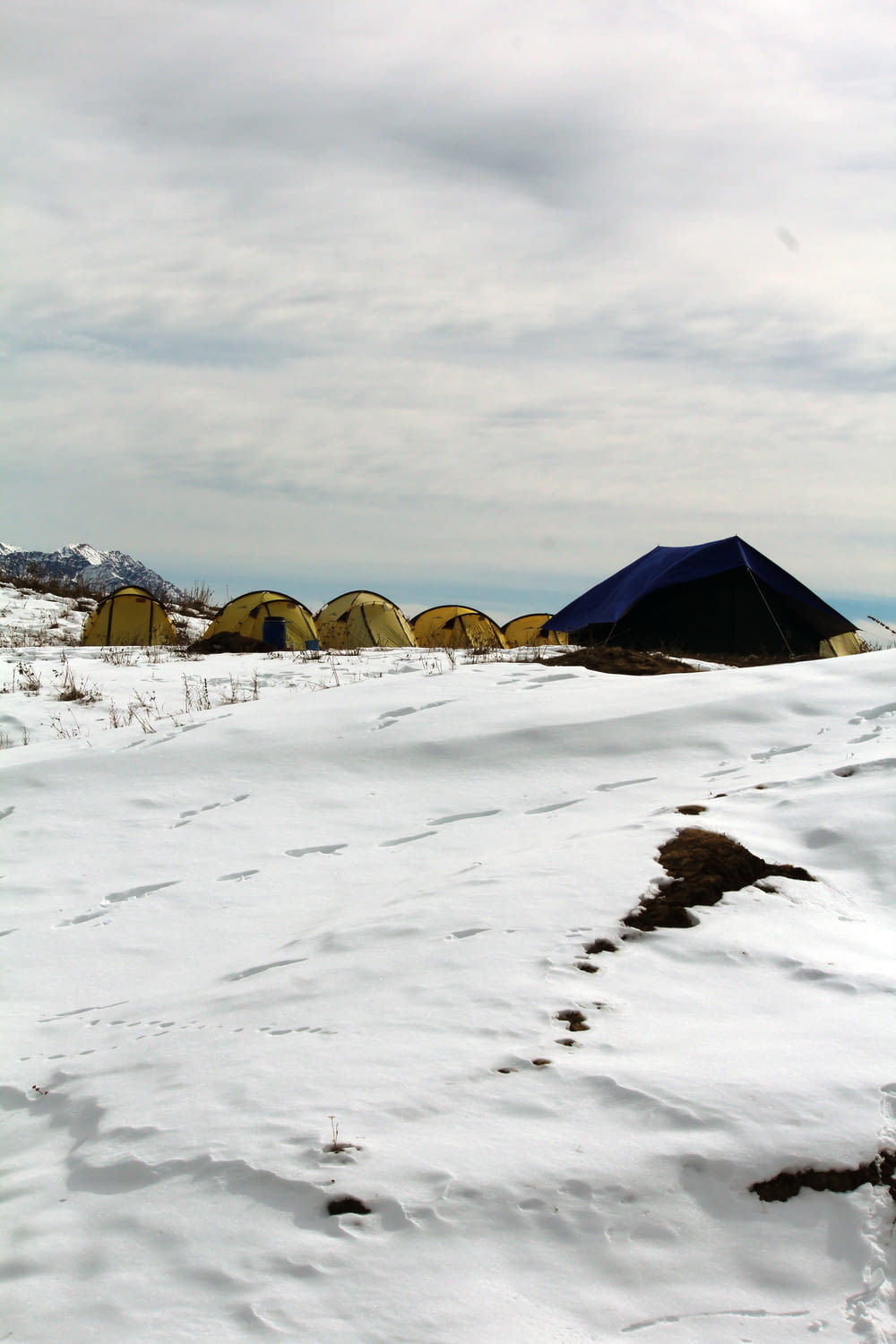 six yellow and black pop-up dome tents on snow