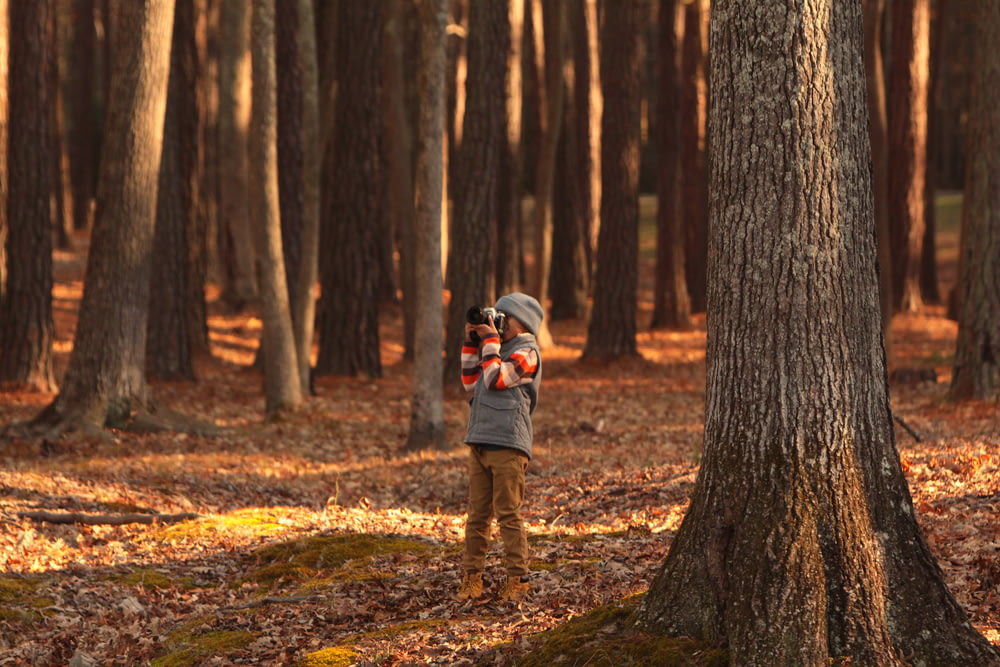 pessoa segurando câmera na floresta