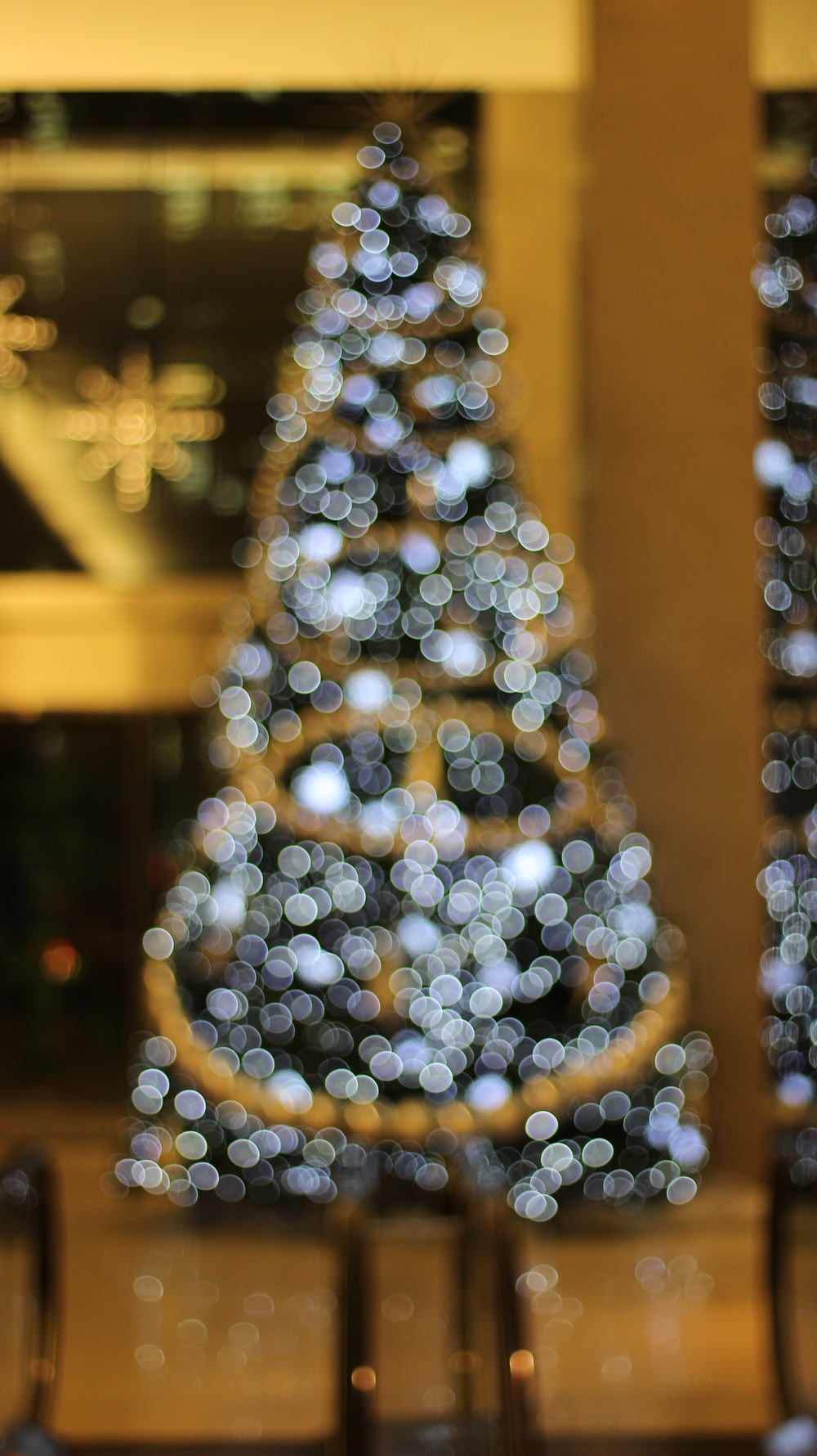 ein beleuchteter Weihnachtsbaum vor einem Gebäude