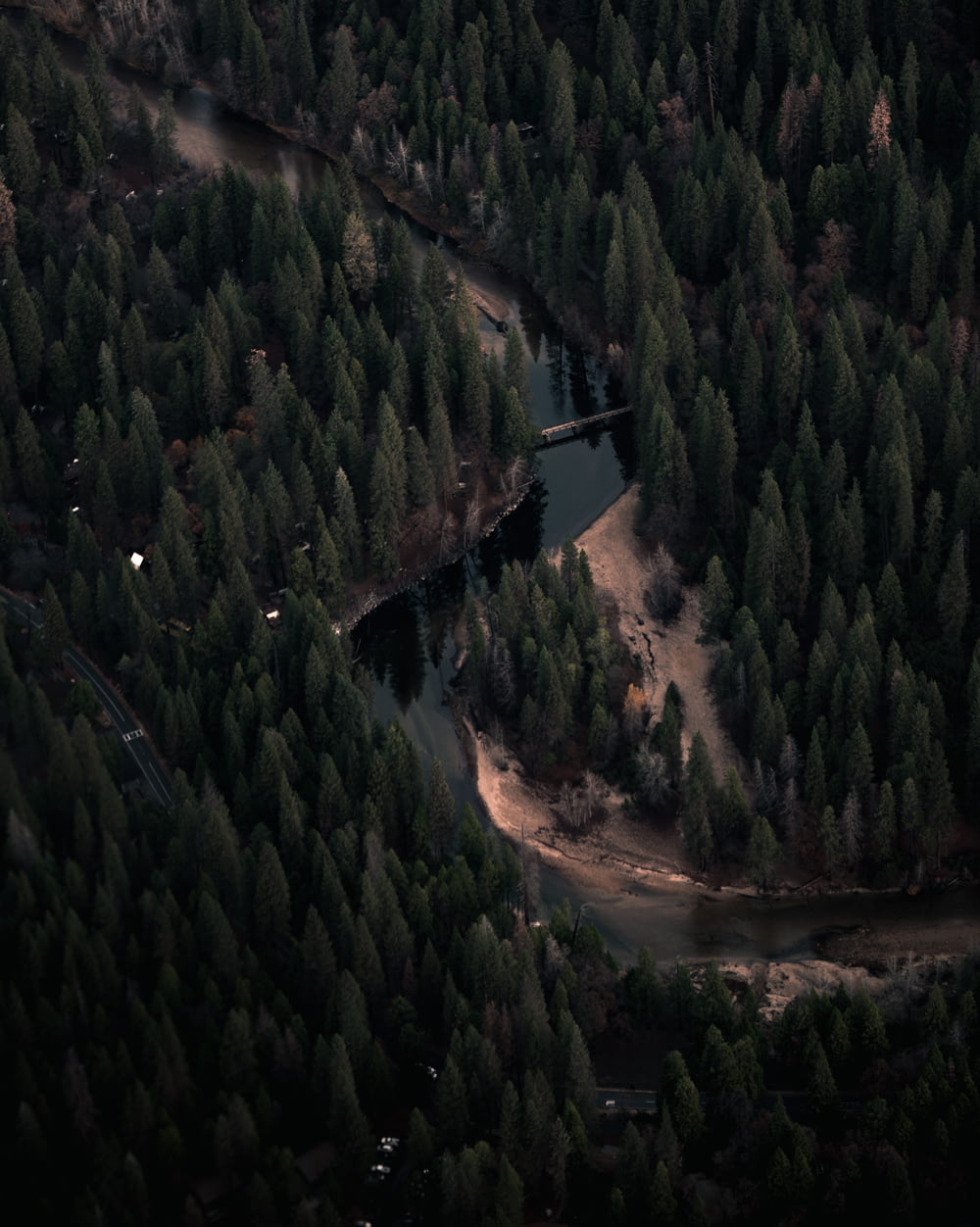 aerial photography of green forest near body of water