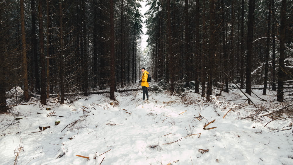 person in yellow jacket stand on snow field surrounded pine trees
