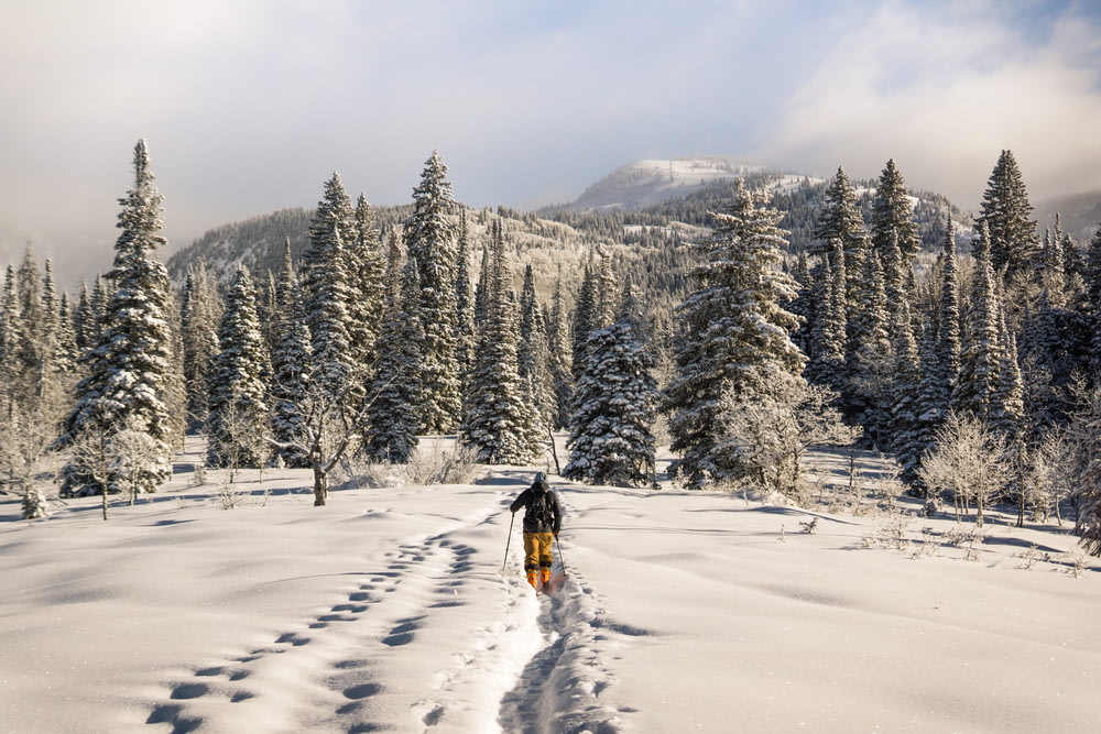 homem na roupa preta e laranja andando na neve
