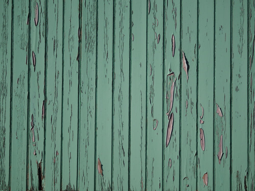 parete in legno verde