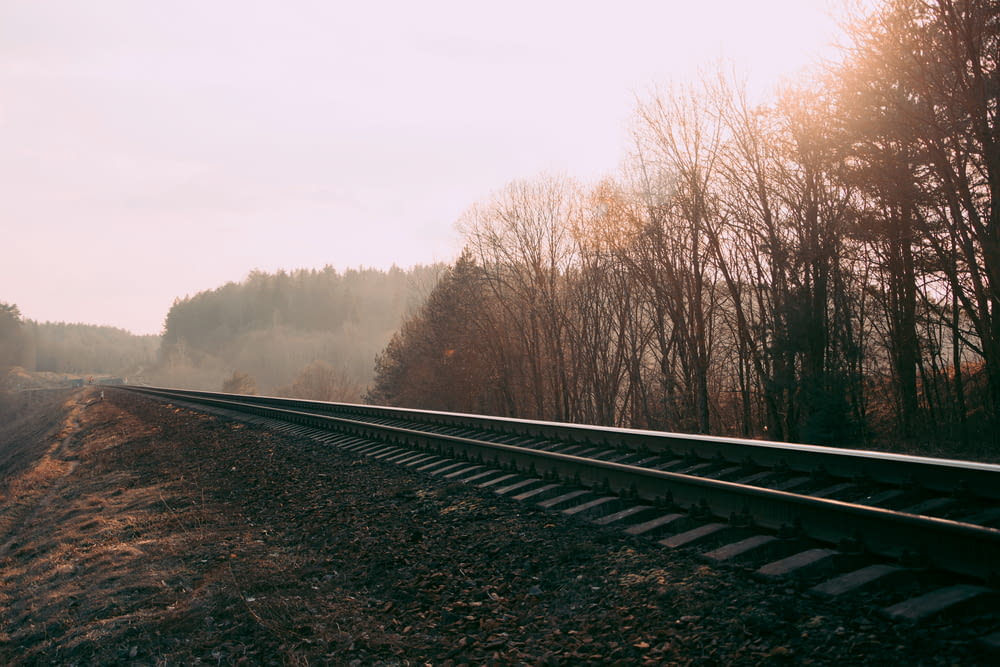landscape photography of train rail surrounded with trees