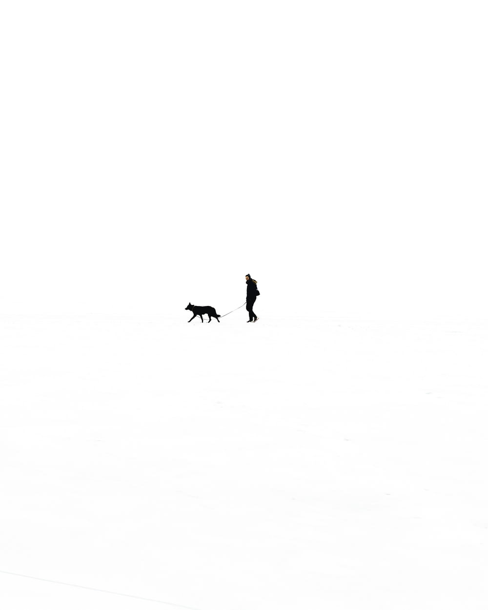 person walking with dog against black background