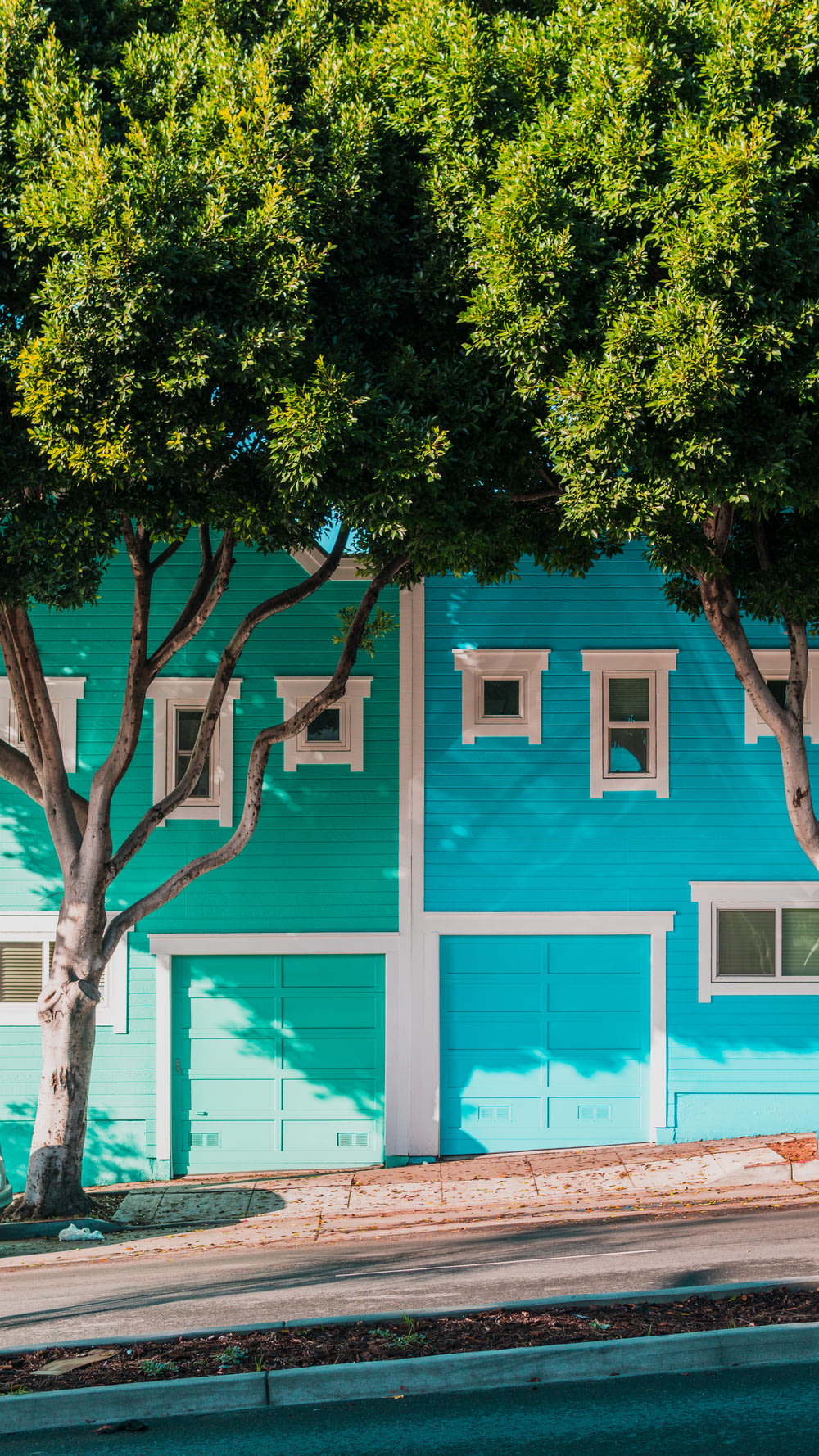 歩道の木々のそばの緑と青の家