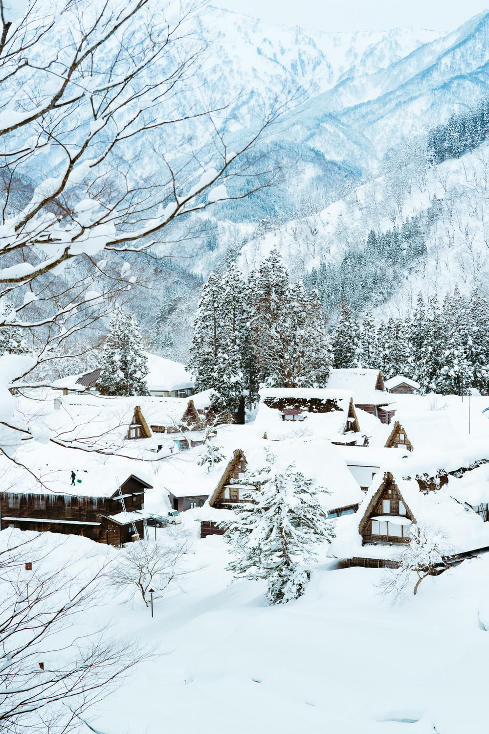 brown wooden houses field with snow near mountain