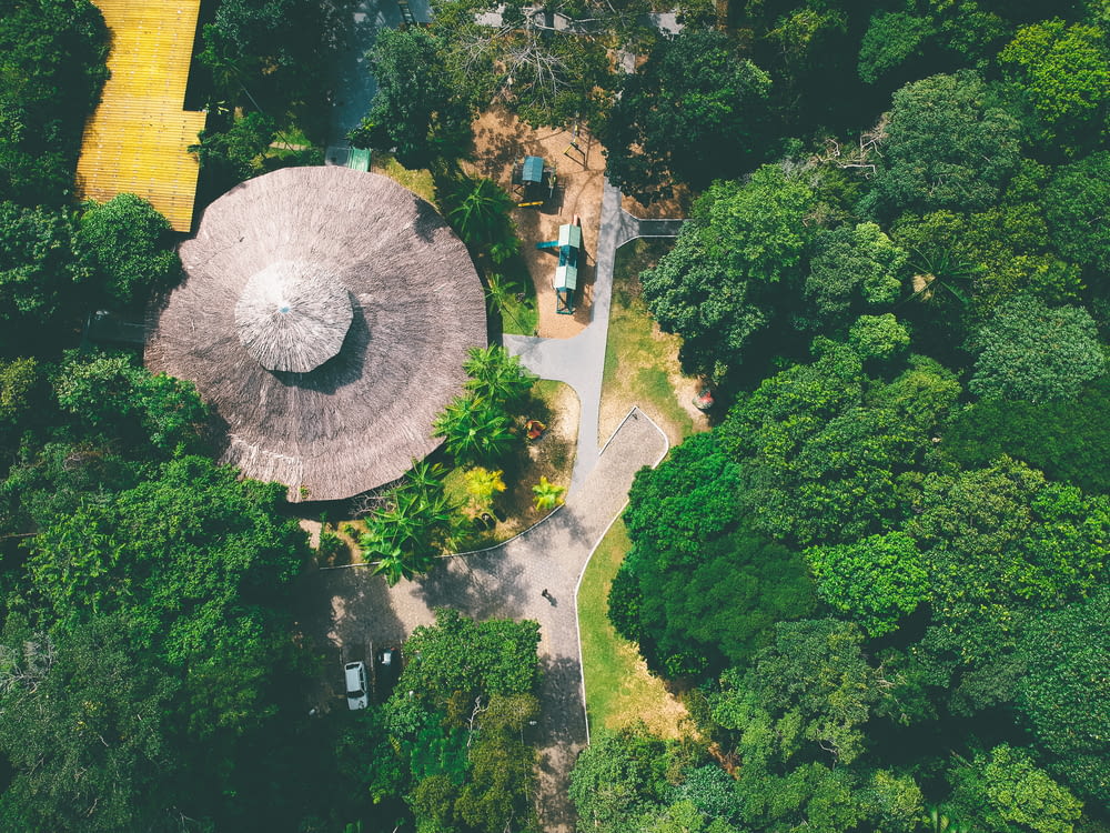 high angle photo of structure surrounded with green trees