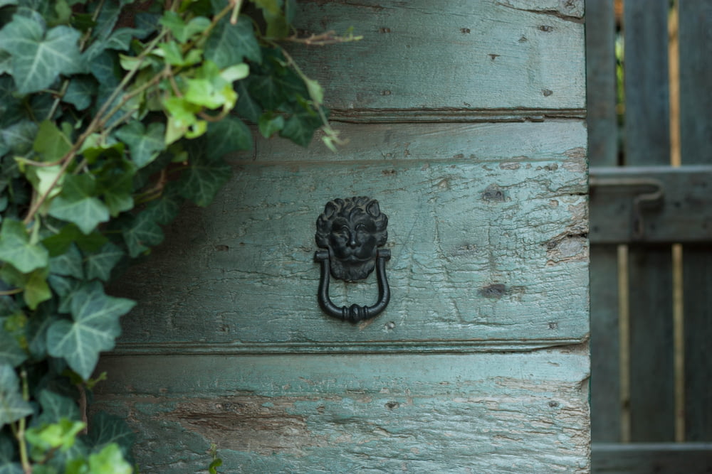 a green door with a lion head on it