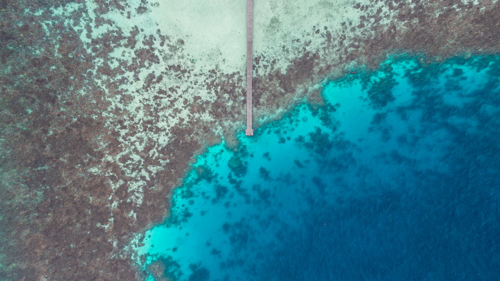 aerial photography of blue body of water during daytime