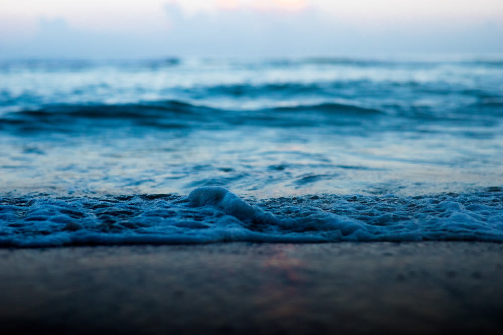 selective focus photography of sea