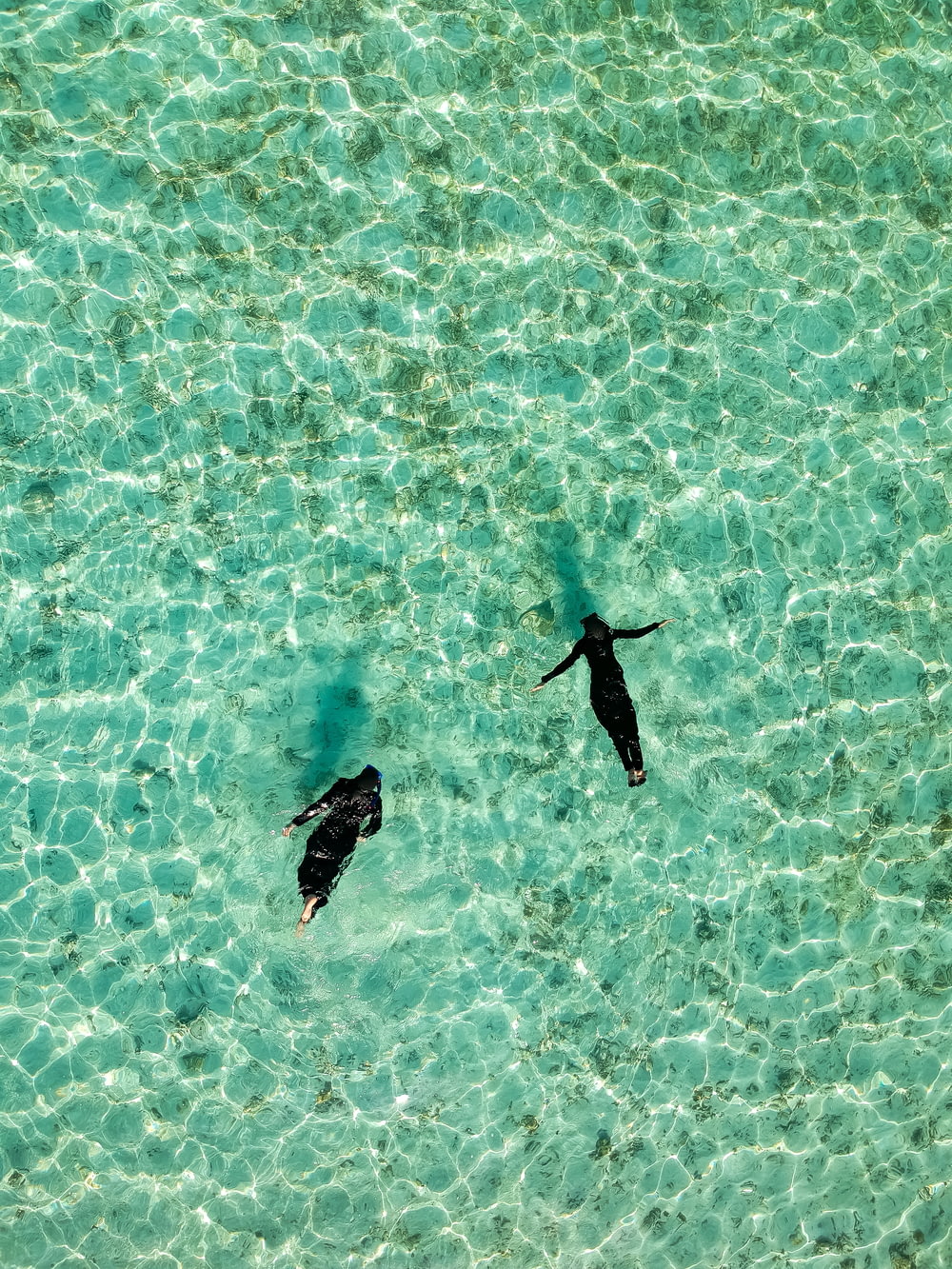 aerial photo of two human swimming on body of water