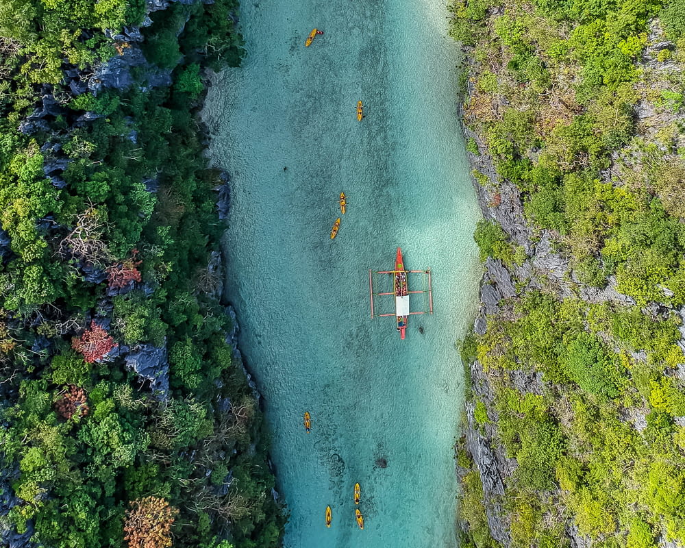 aerial view of boat on body of water between trees during daytime
