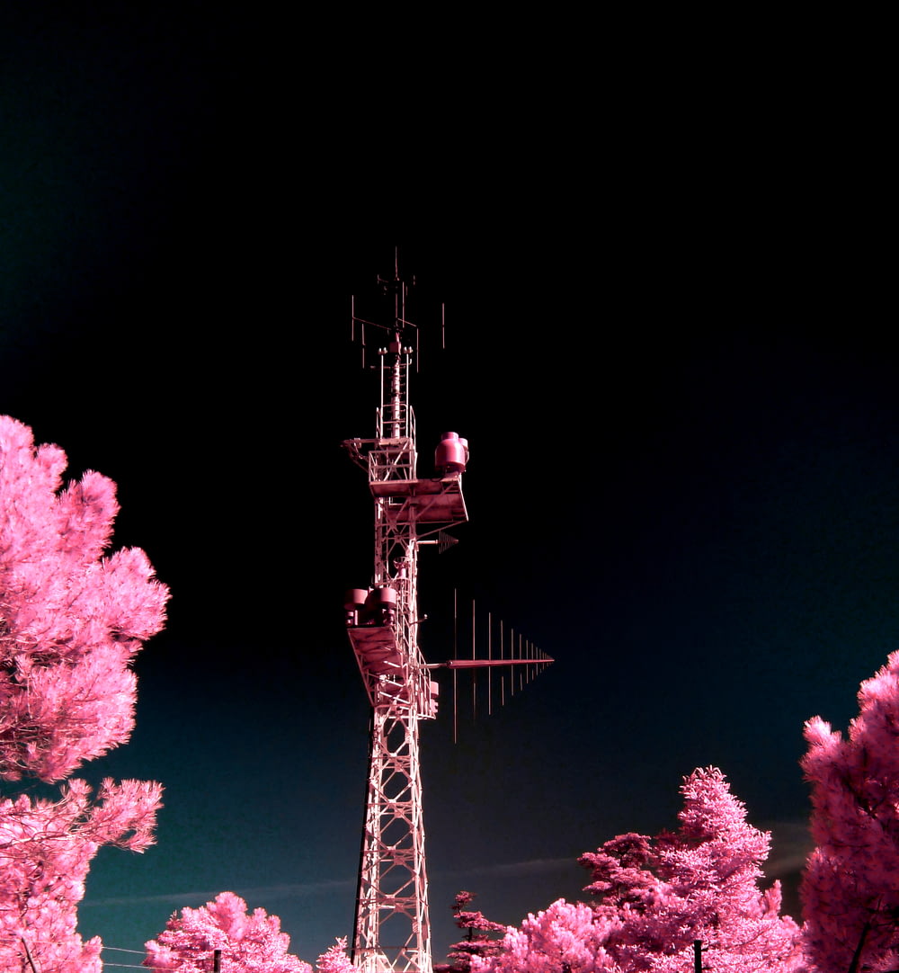 밤의 분홍색 잎 나무 사이의 갈색 타워