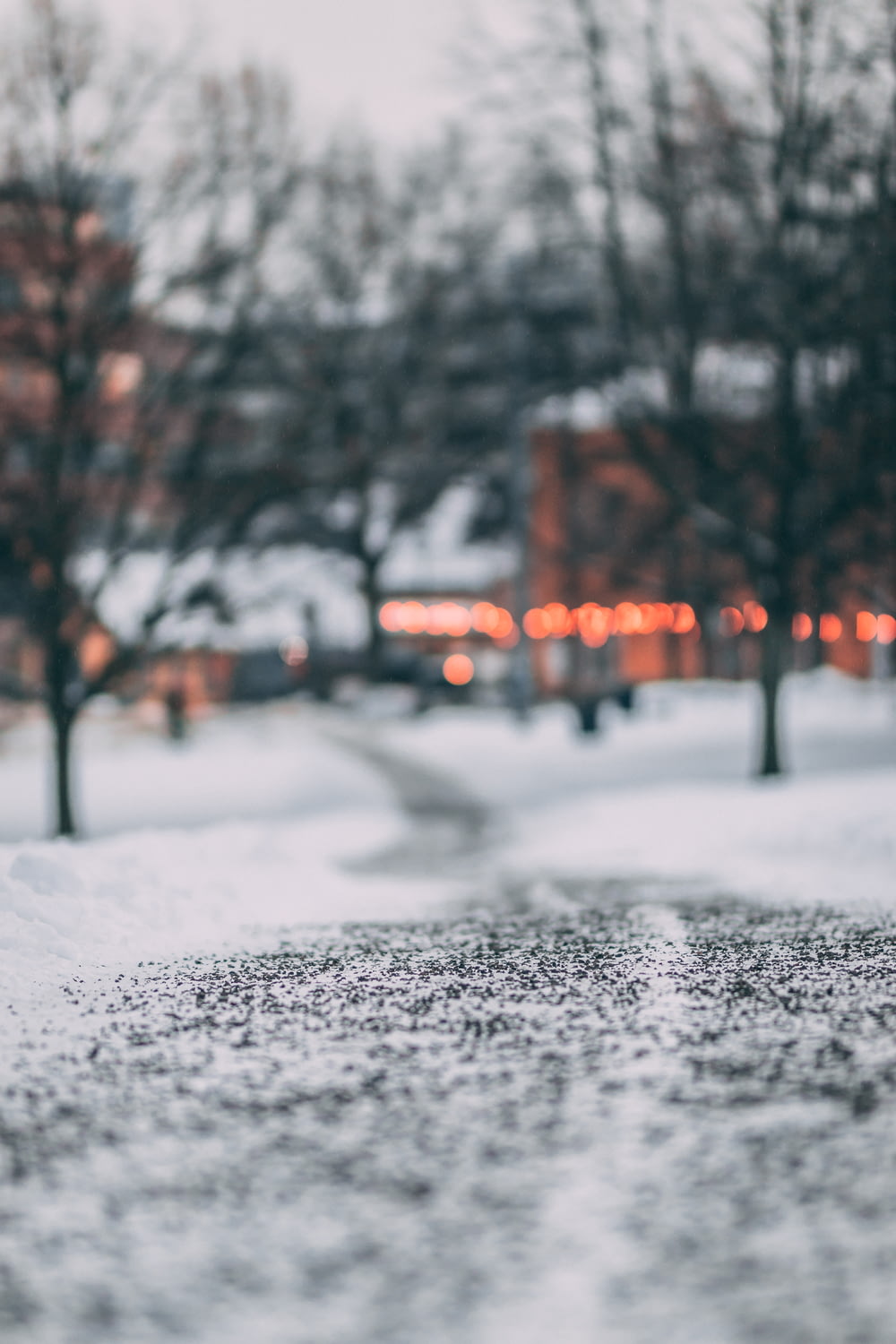 selective focus photography of snow pathway