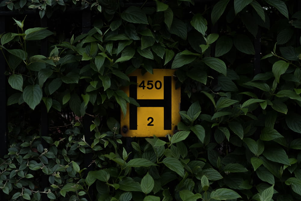 yellow and red H 450 2 signage surrounded by leaves