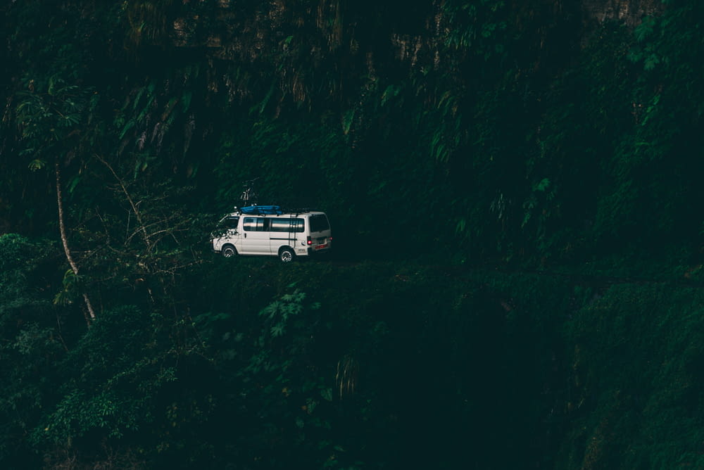 white van surrounded by trees