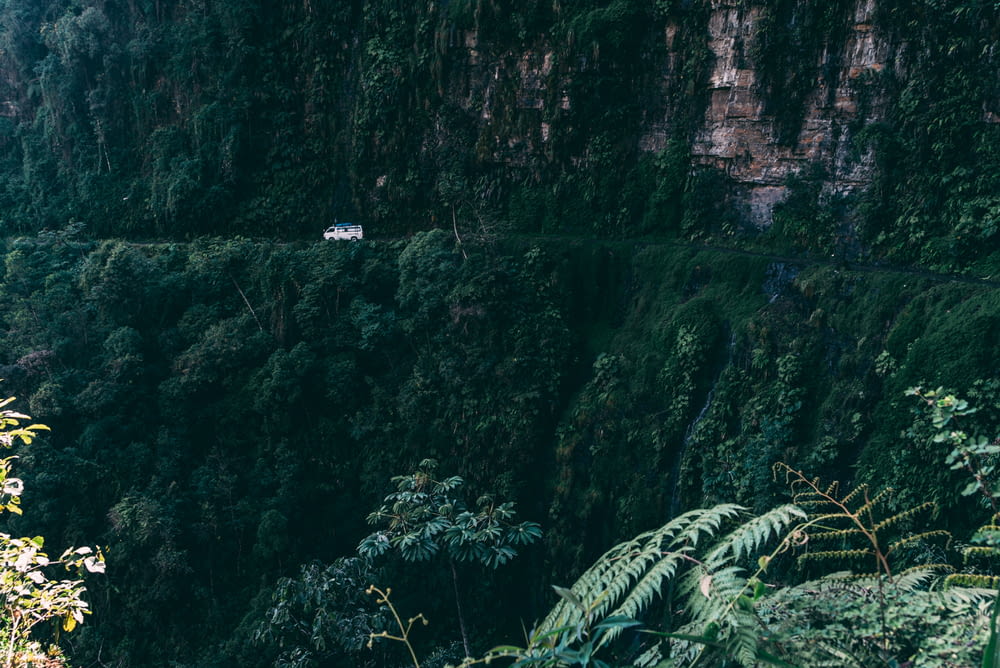 photo de paysage d’un véhicule blanc près d’une falaise et de plantes