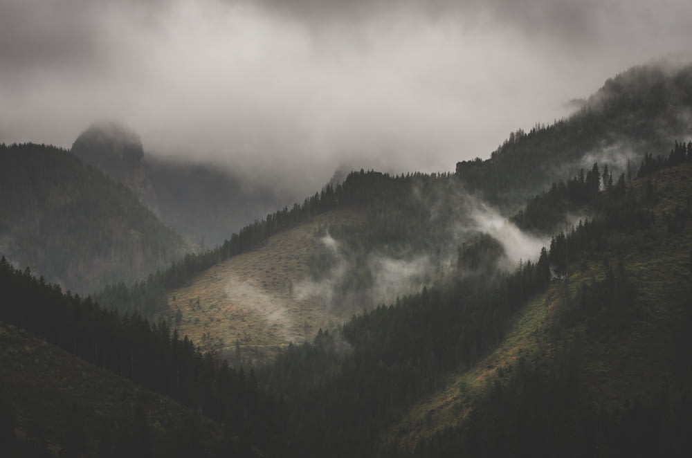 montanha coberta de nevoeiro