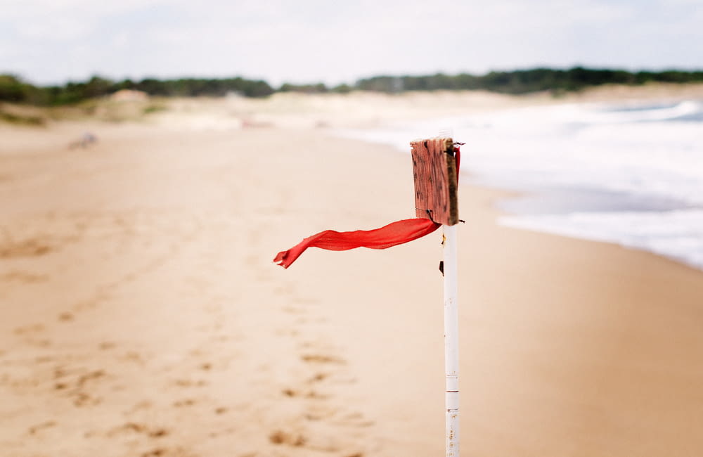 red flag on seashore at daytime