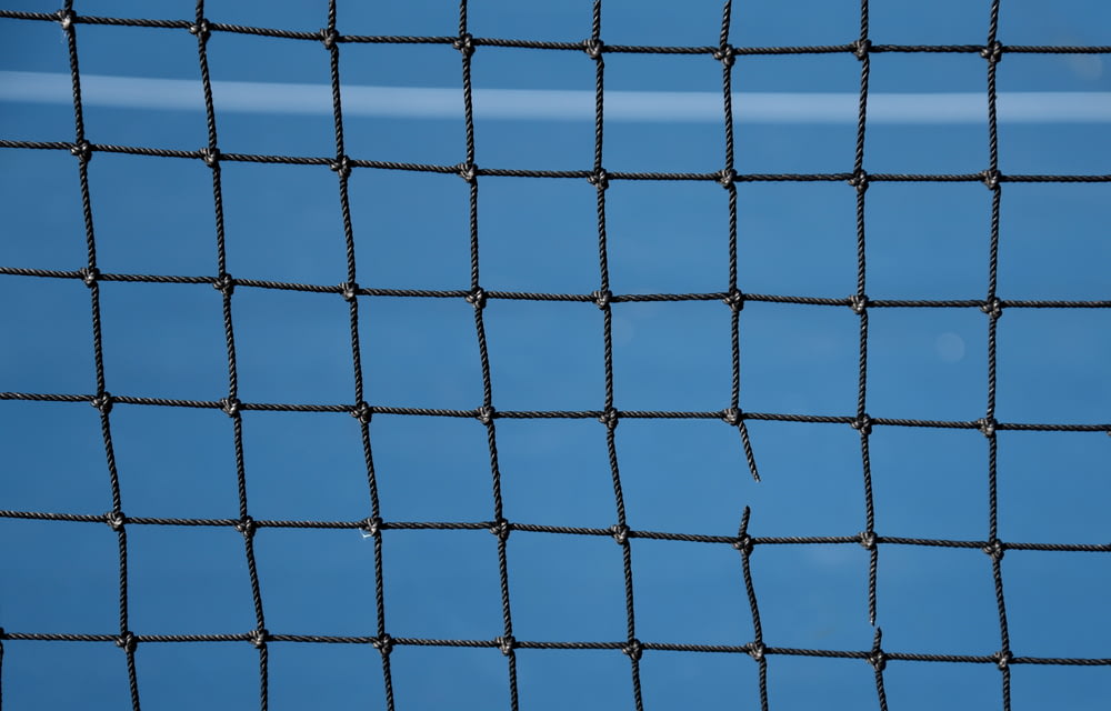blue net