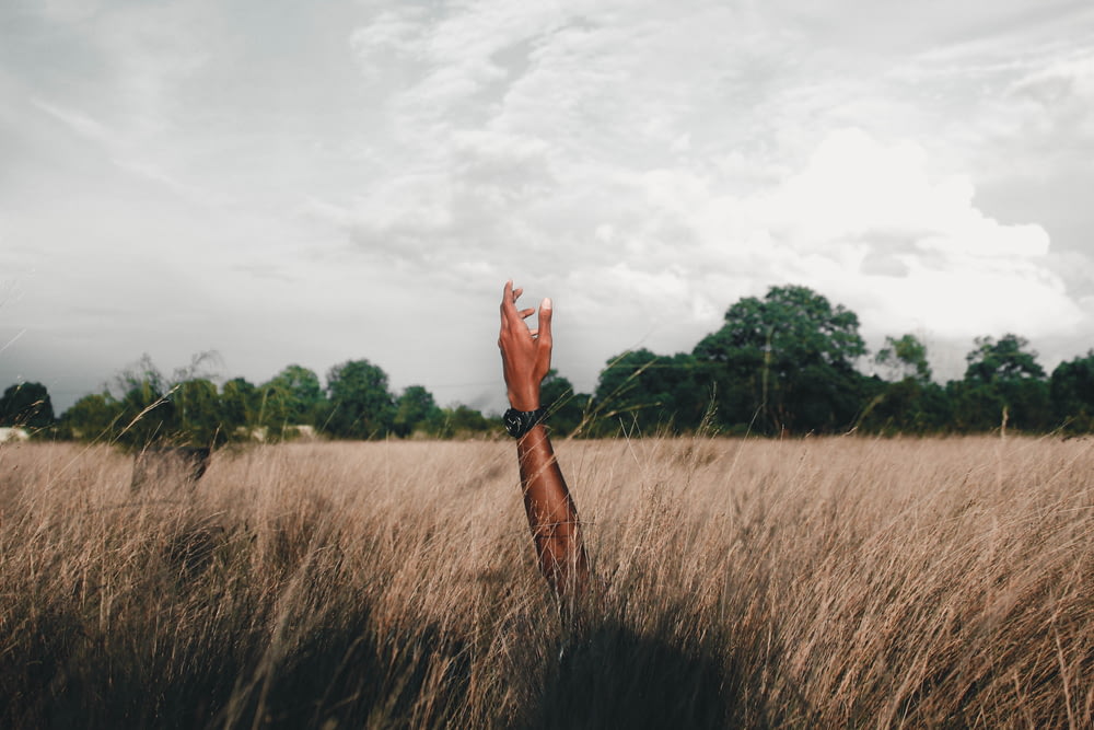 photo of person raising left hand surrounded by green grass