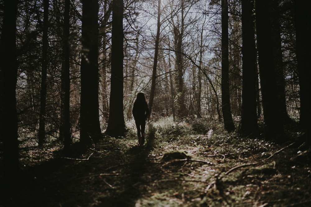silhouette photo of person standing on forest
