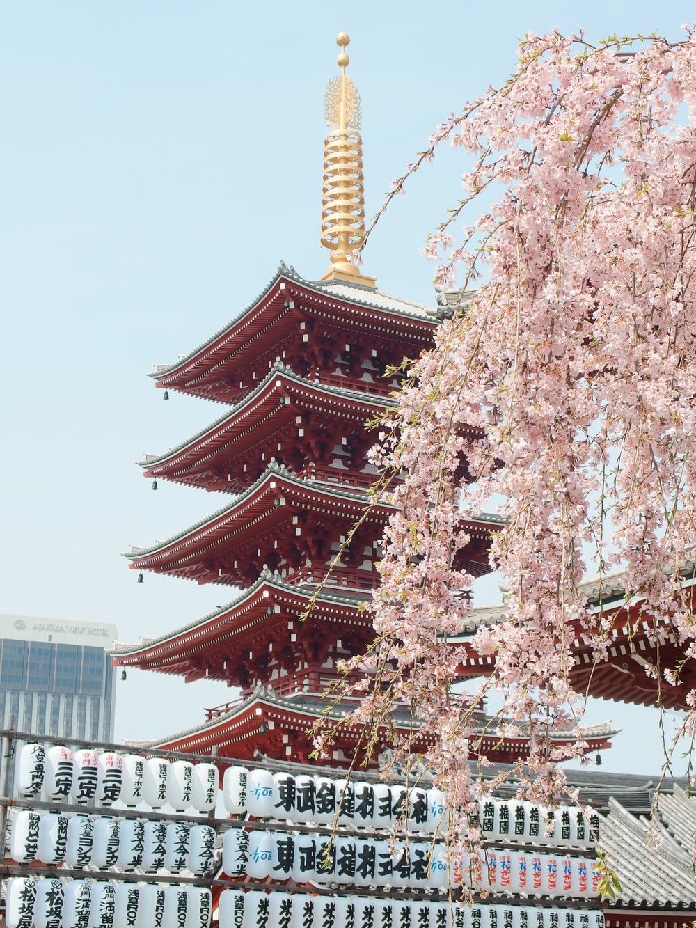 Pagoda marrón y dorada cerca de la flor de cerezo