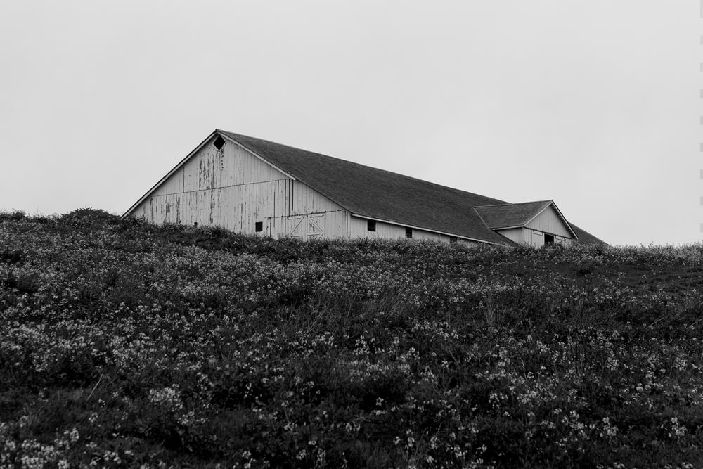 grayscale photography of house surrounded of flowers at daytime