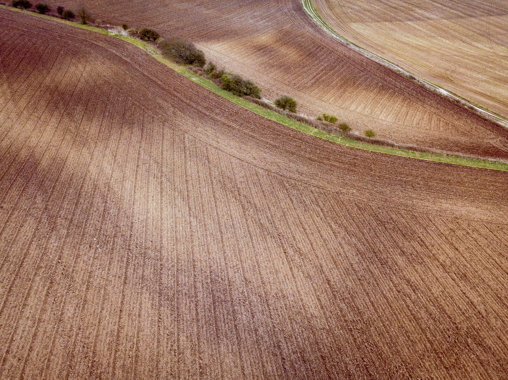 aerial photography of field