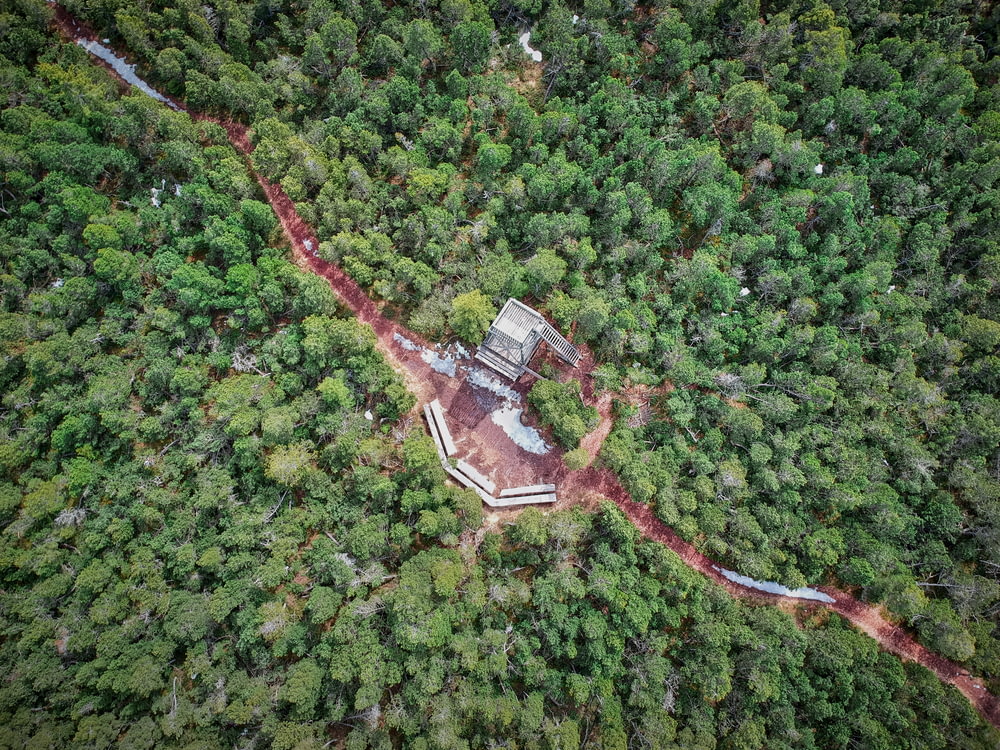 bird's eye view of house surrounded with trees