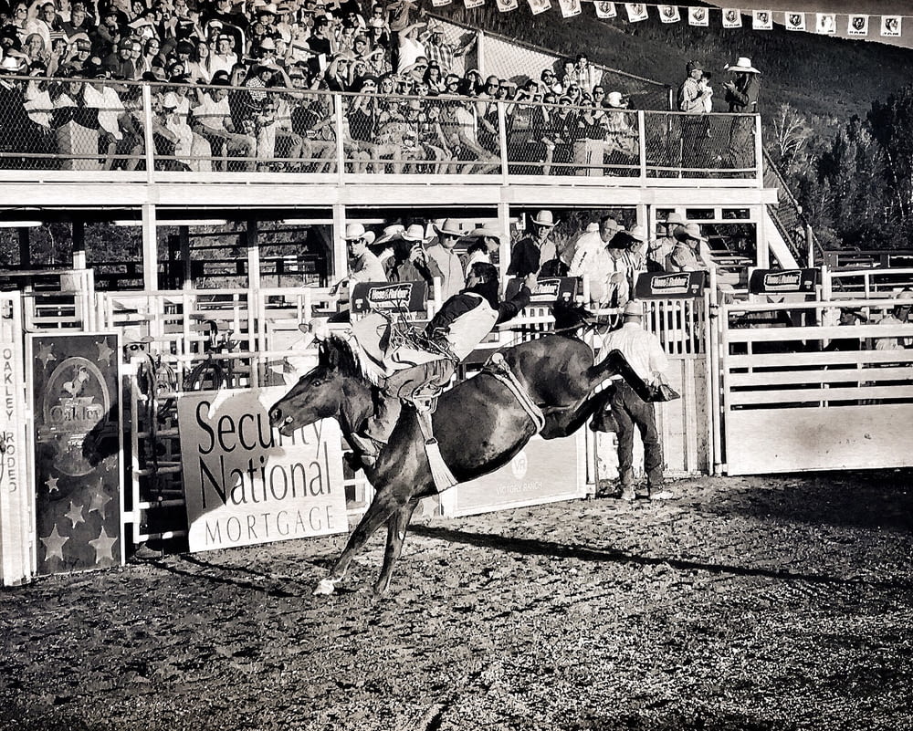 grayscale photo of rodeo show