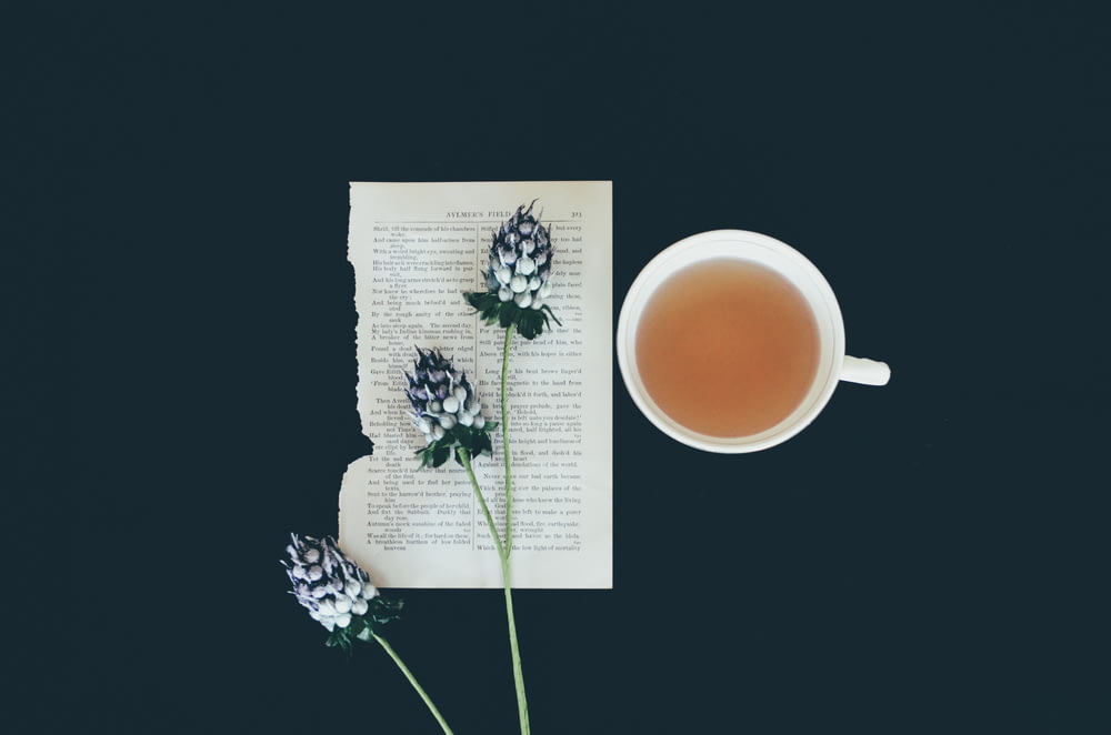 Teetasse aus weißer Keramik neben weißen Blüten