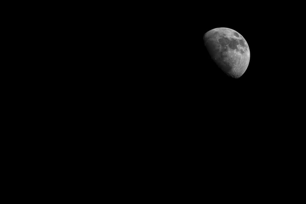 shallow focus of half moon