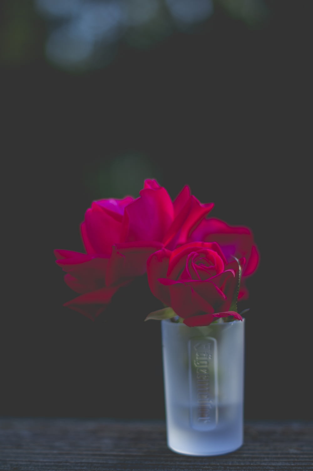 red roses in frosted shot glass
