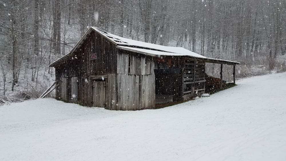 gray shed coated with snow