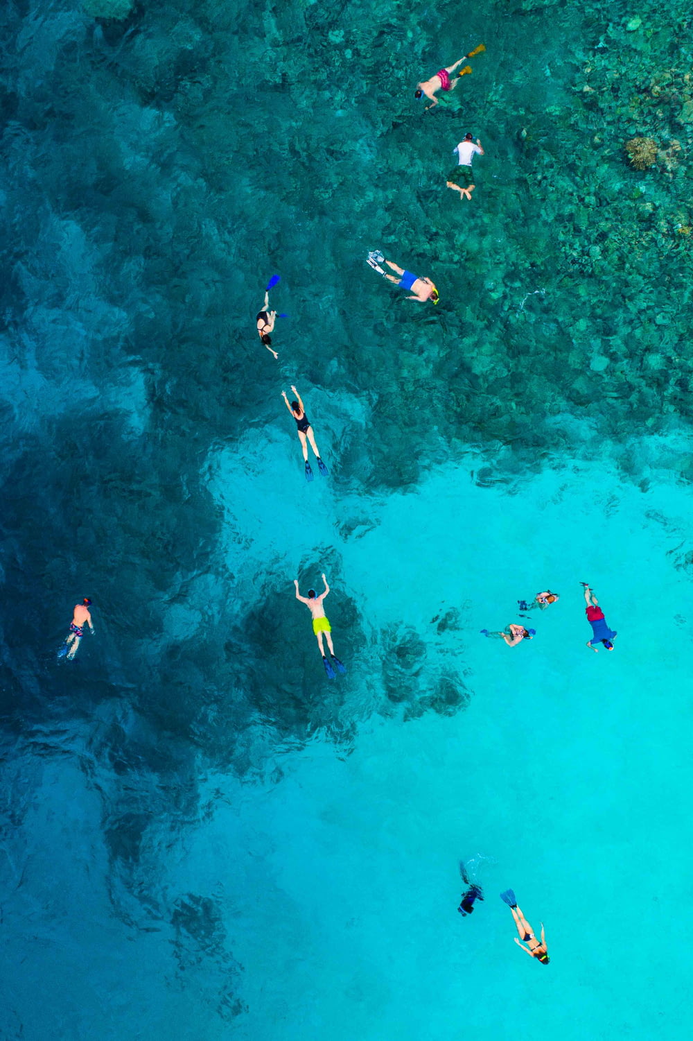 Photographie de vue aérienne de personnes dans un plan d’eau