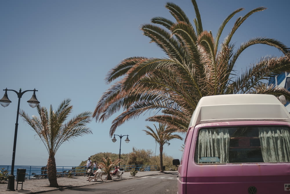 pink van near palm tree