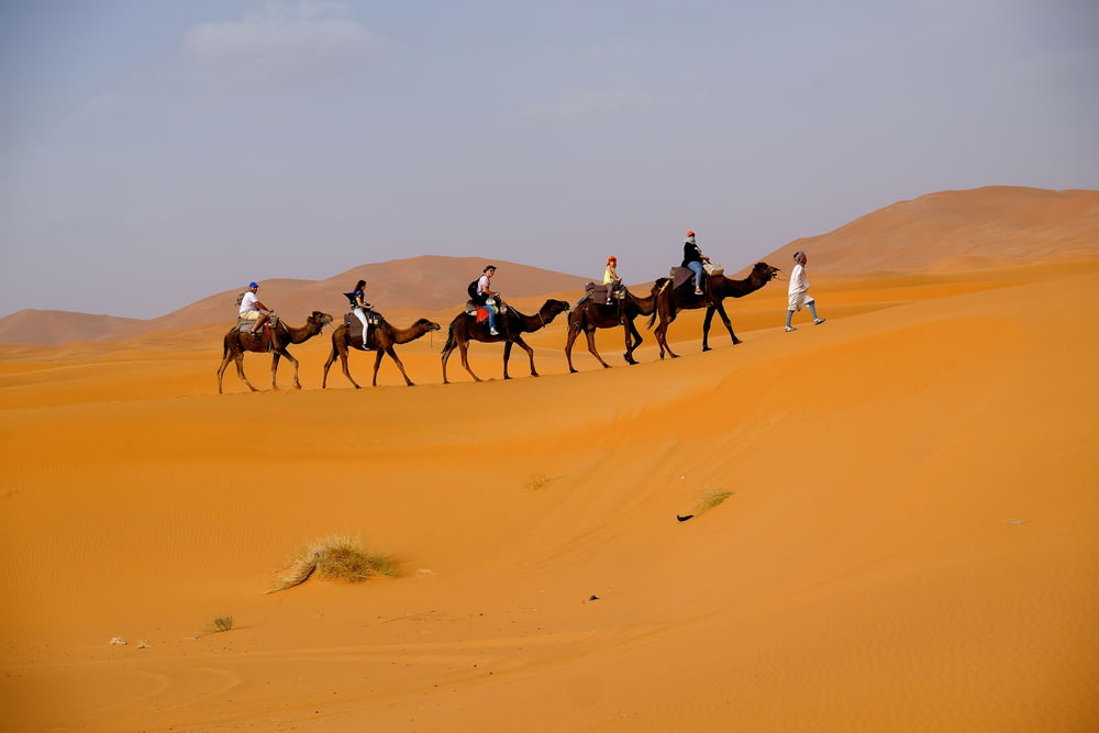 foto da paisagem de pessoas andando de camelo