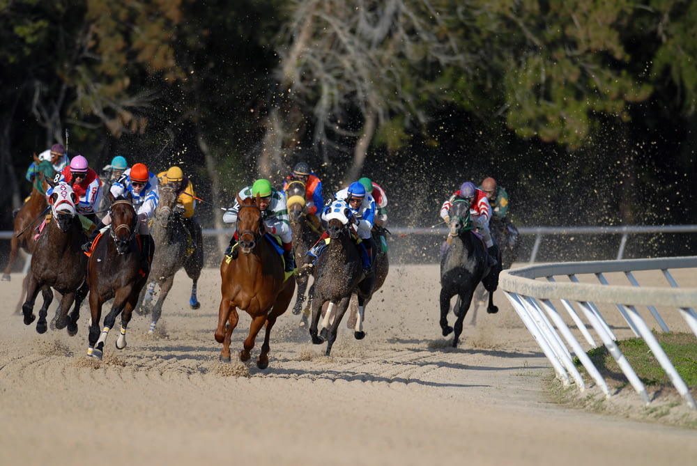 shallow focus photography of horse race