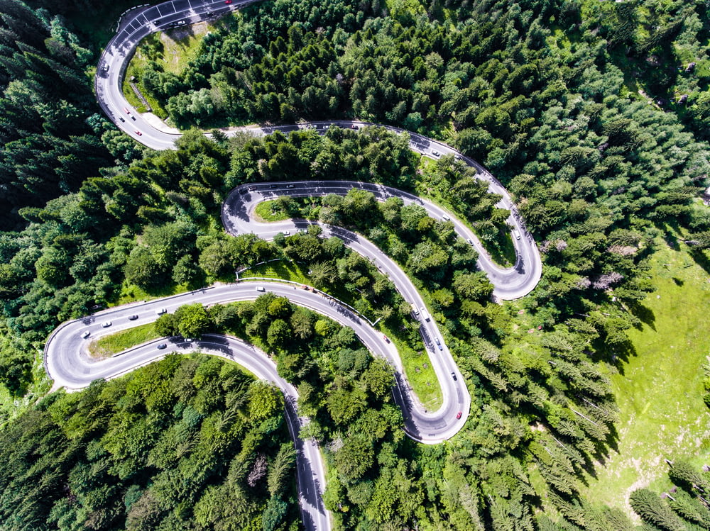 Vista aérea de la carretera en zigzag rodeada de árboles