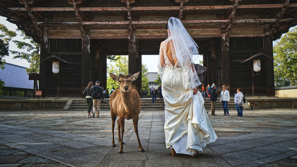 Mujer en vestido de novia de pie junto a ciervo