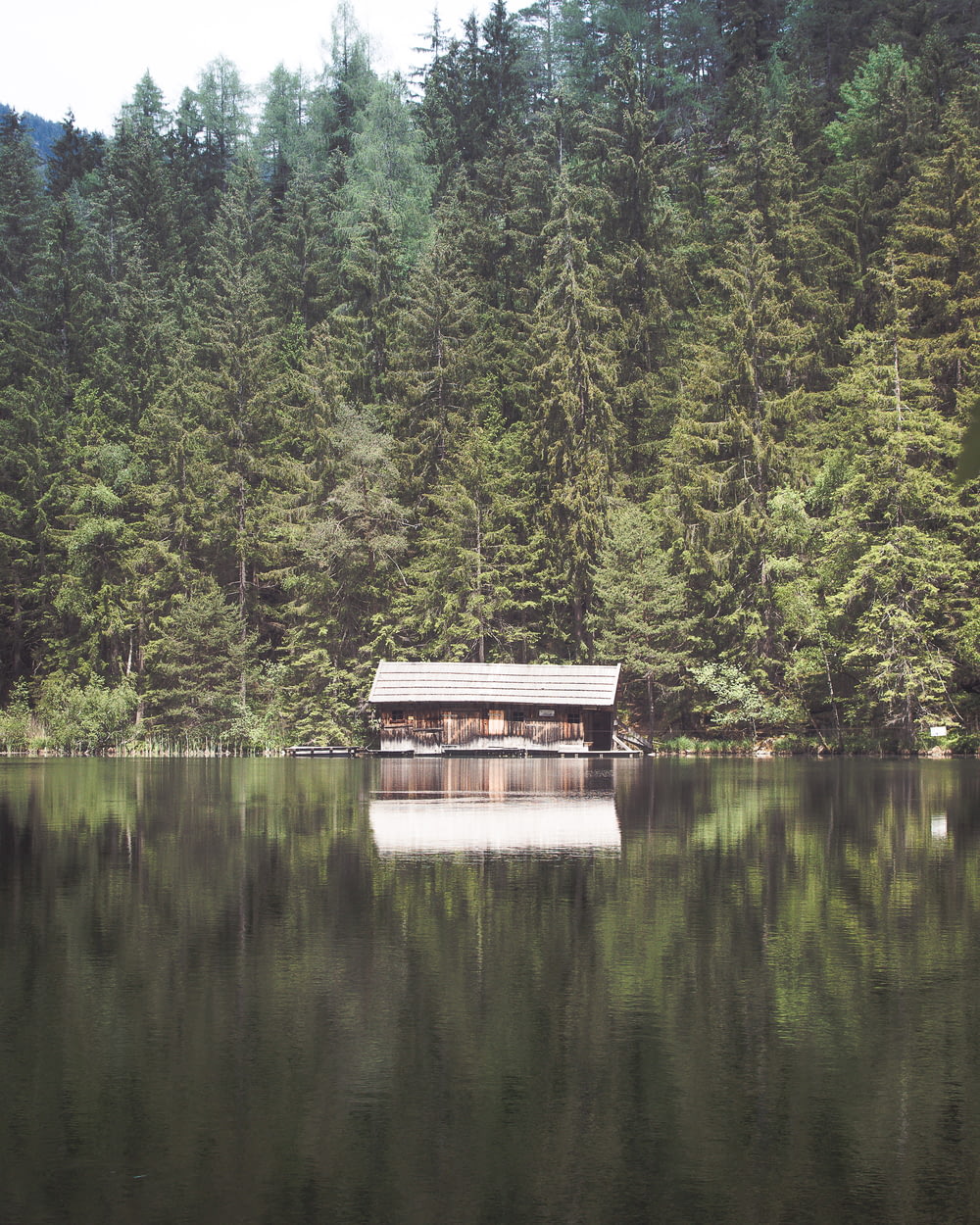 landscape photography of shed near body of water and trees
