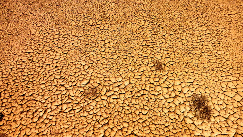 dried soil ground