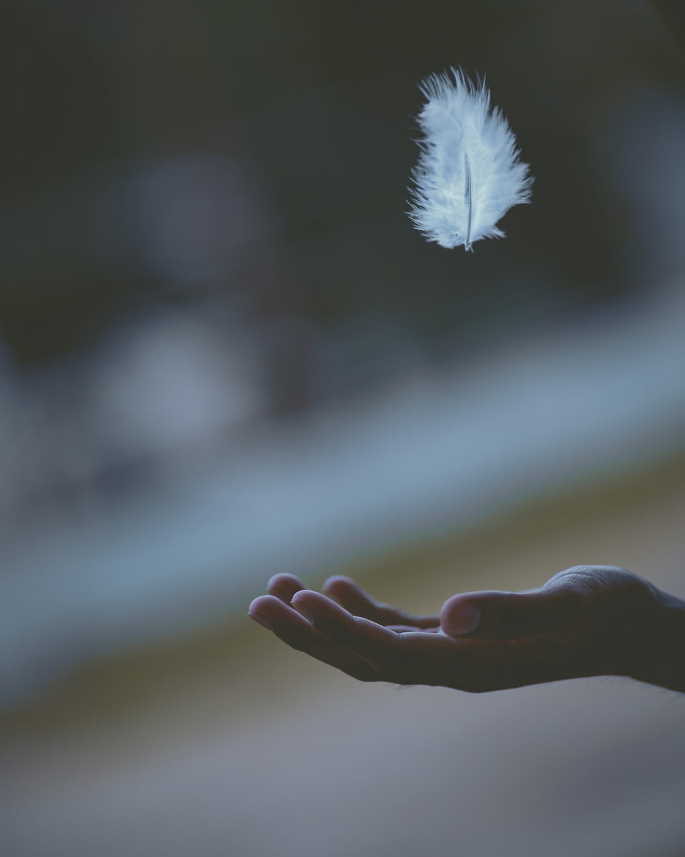 Flache Fokusfotografie von weißen Federn, die in die Hand einer Person fallen