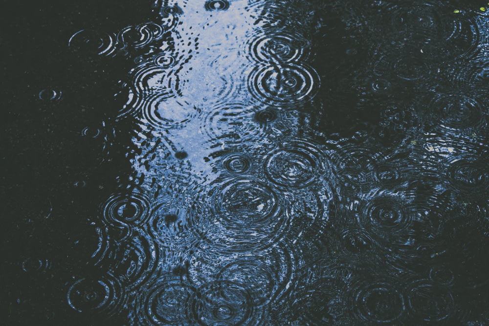 photo of body of water and droplets