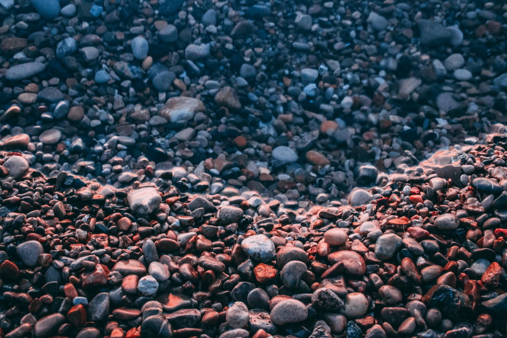 brown and gray pebbles