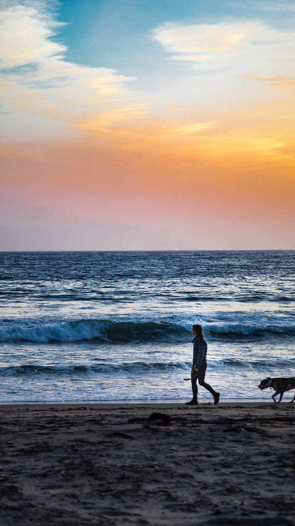 person and dog walking on seashore at daytime
