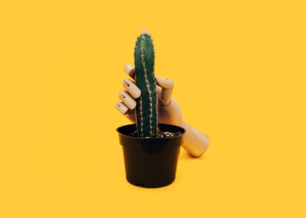 Handschaufensterpuppe mit grüner Kaktuspflanze