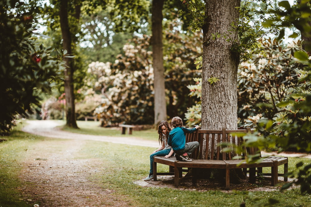 girl and boy sitting on bench beside tree on park